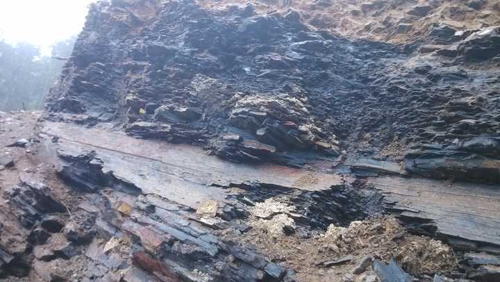 哪里可以买到新鲜的火山灰?