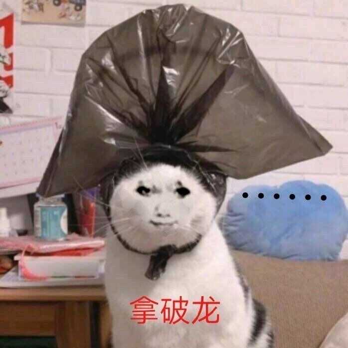 后来踏入了奇怪的圈子里表情包里就全是龙玉涛,和集美每天以龙相见.