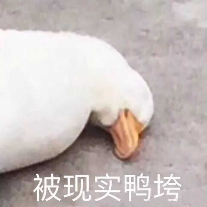 有哪些负能量的表情包(图片)?