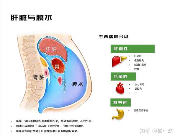 肝积水能活多久 知乎