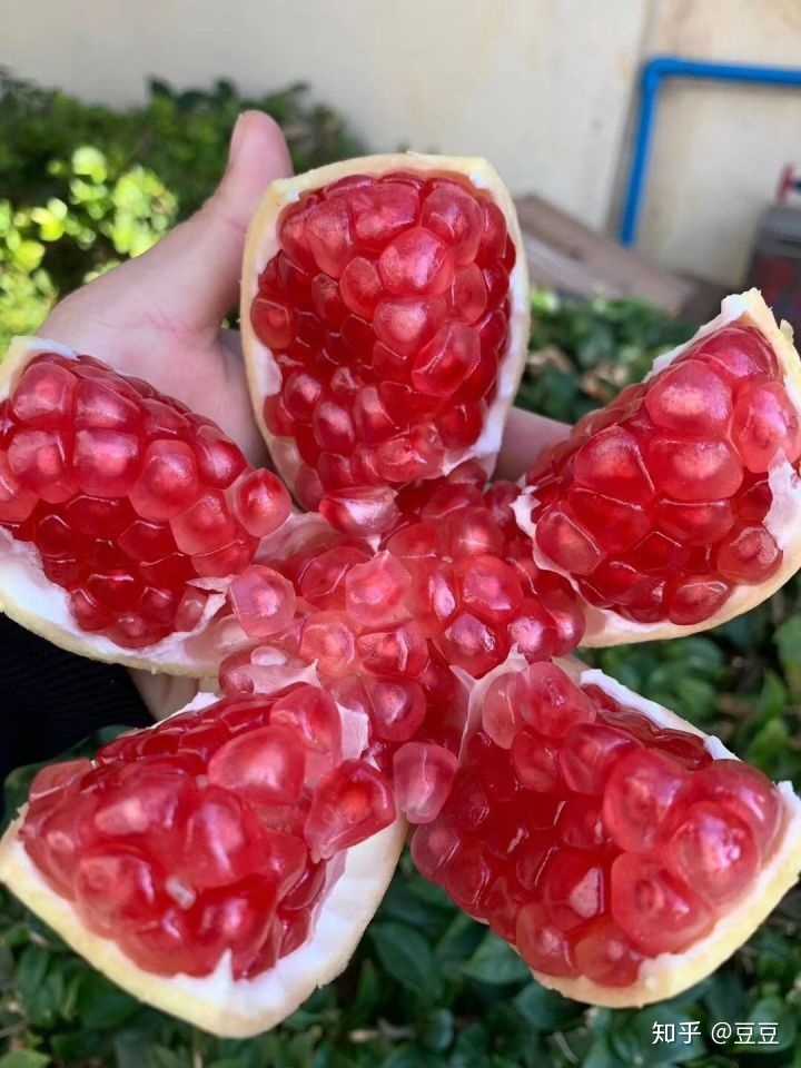 这个还不是太熟,熟透的石榴籽暗红色.