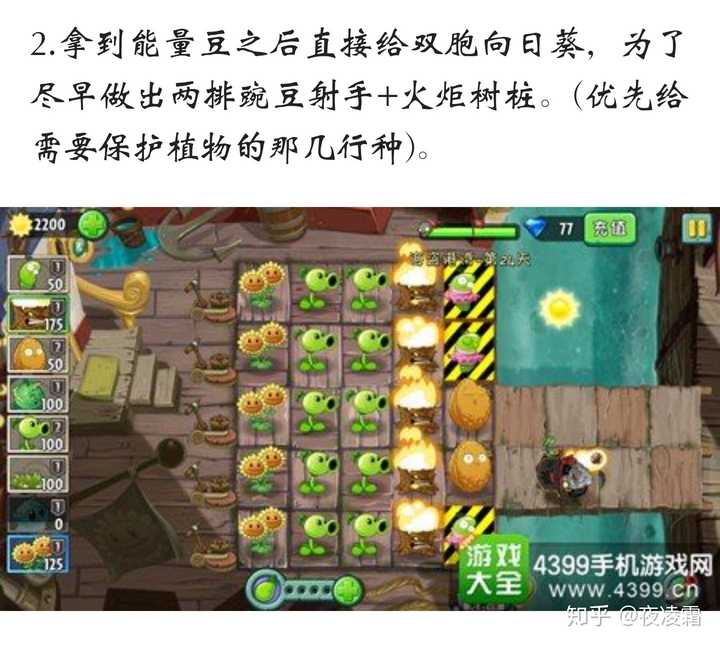植物大战僵尸2海盗港湾第24天怎么过