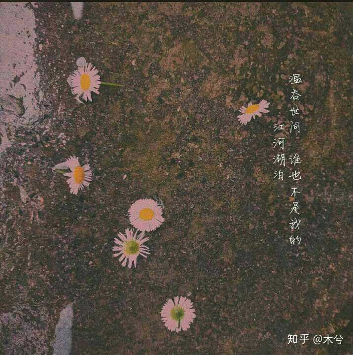 有没有特别温柔的文案?