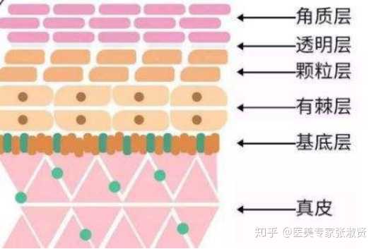 那如何拥有美白肤色的同时,皮肤又能是健康的呢?