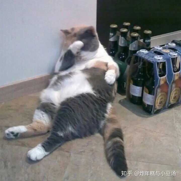 有没有什么很有格调的沙雕头像?