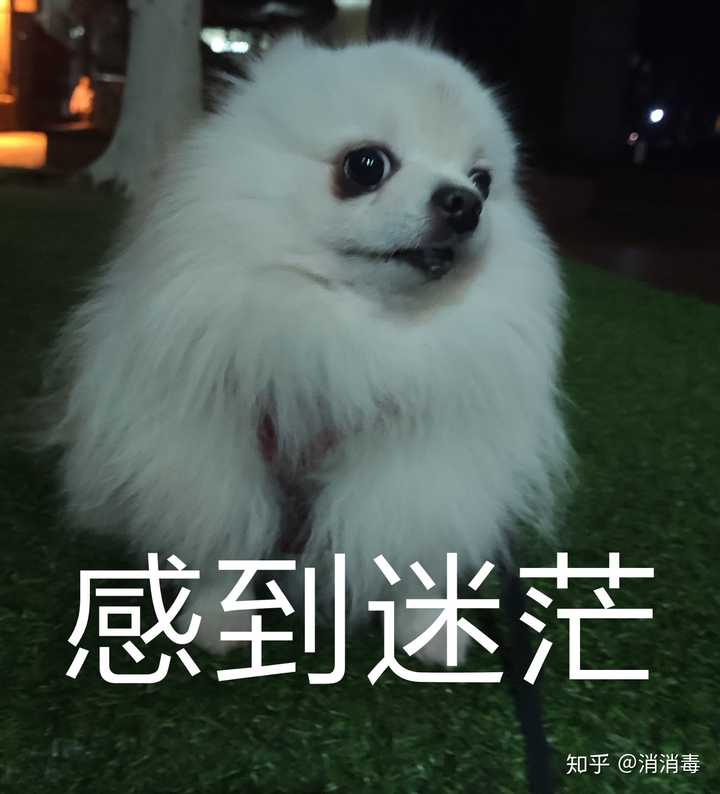 答了个和彩礼有关的问题,知乎立马给我推送一堆类似的…我