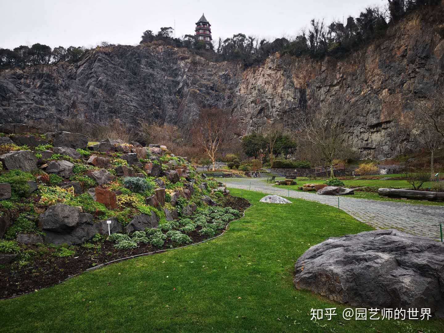 植物#岩石园〔新年园艺研学系列8 知乎