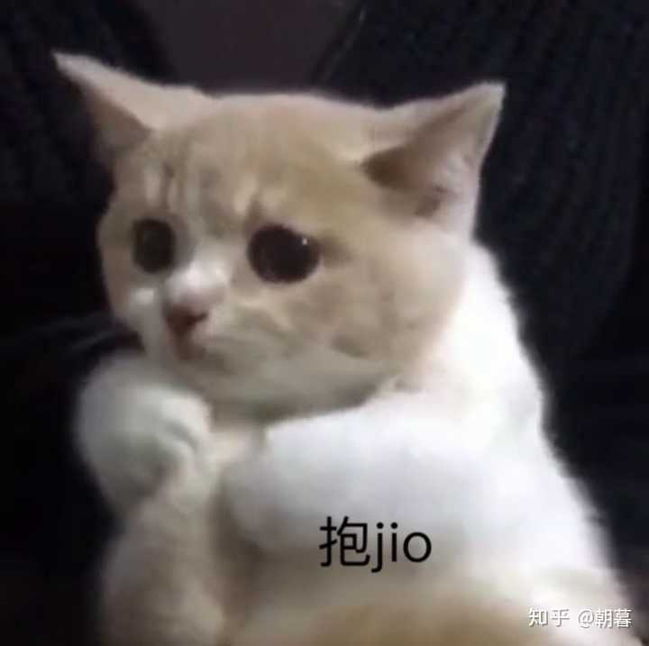 你有哪些让你一秒变开心的表情包?