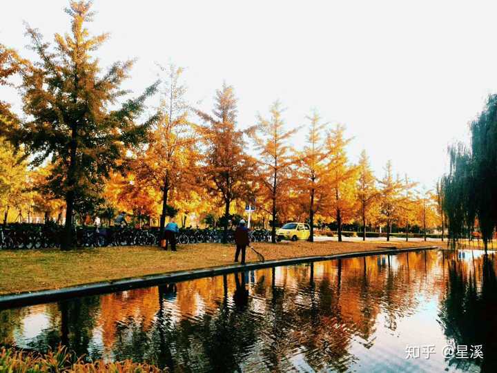 山东科技大学的景色到底有多美?