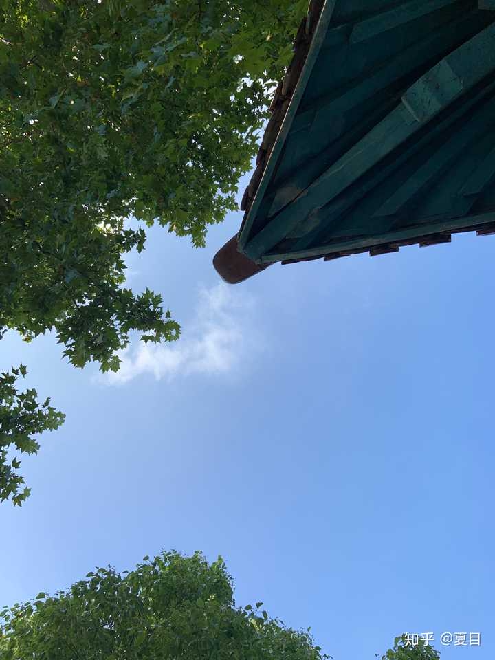 也有很多遗憾,真的体会到了触景生情的感觉……可能以后都不会回来了