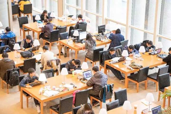 " 这句话精准概括了当代大学生的状态.