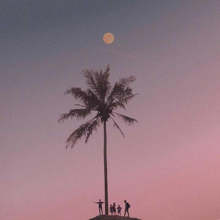 有没有什么好看的简约头像?