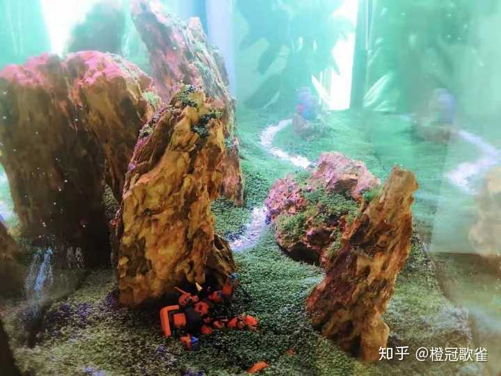 鱼缸里放高达模型对鱼有影响吗?