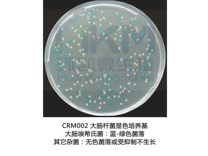 培养基上细菌菌落大小与细菌大小关系