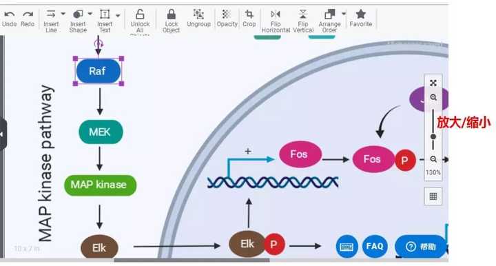 大家都是用什么软件绘制 sci 插图的?