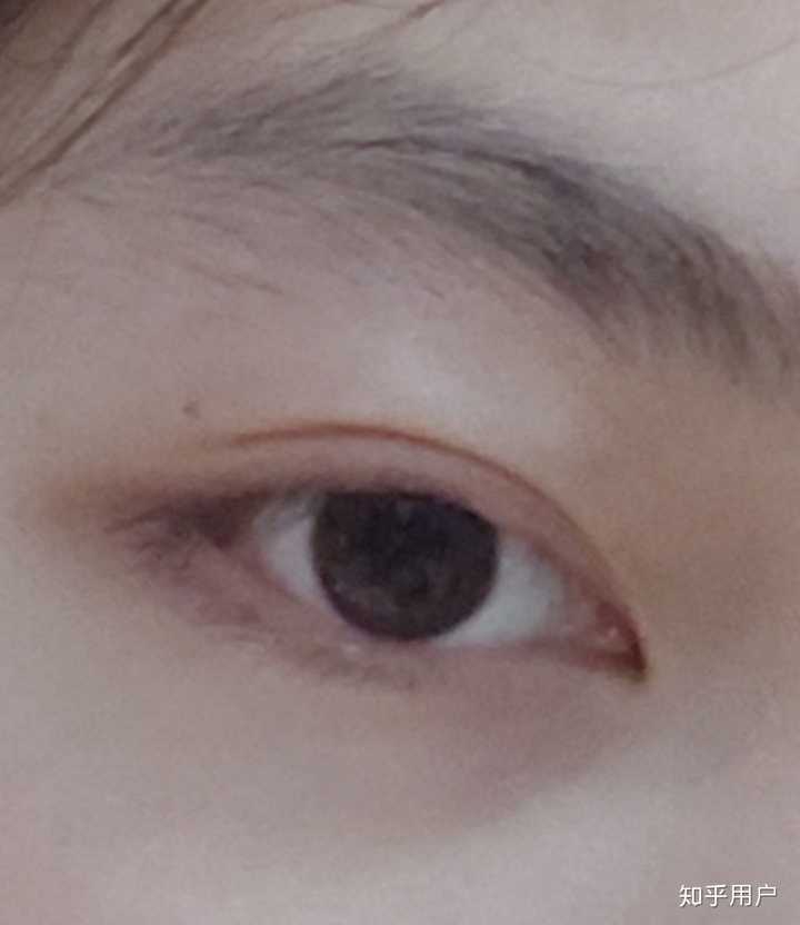 如何判断自己的眼型?