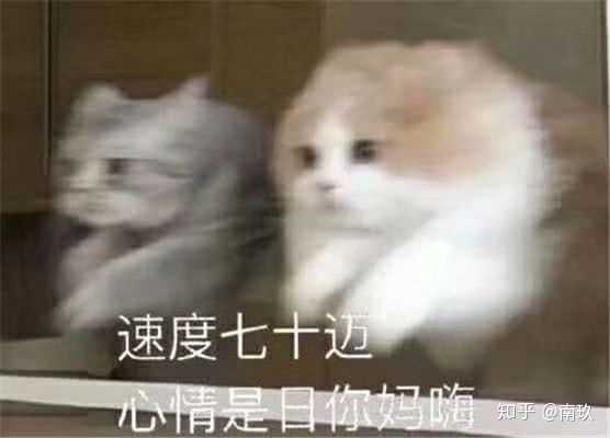 如果女生跟闺蜜聊天,闺蜜发这种表情包,那就发表情包怼死她