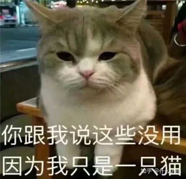 撩我家狗子的不知不觉间存了好多图,(小套路中参杂些许去幼儿园的车