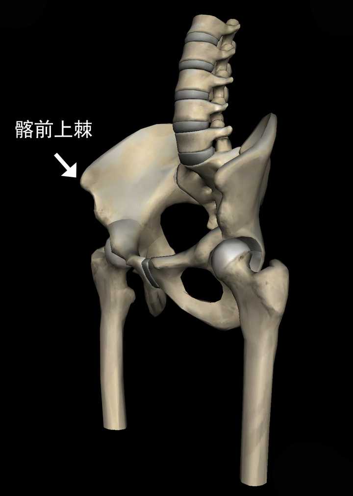 梨型身材,大腿前侧和小腿后侧都很壮,有什么办法可以瘦下来吗?