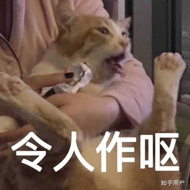 你遇见过什么让你觉得很恶心的事和人?