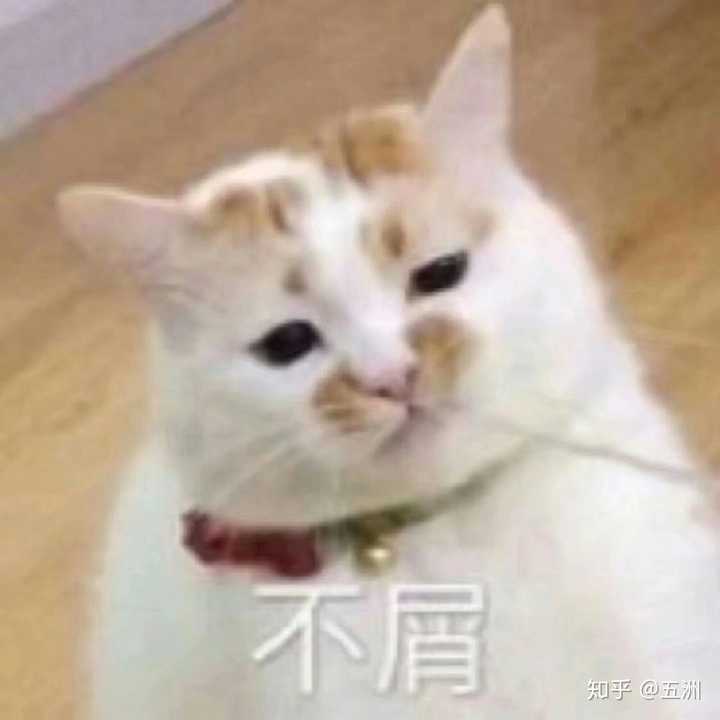 闲得慌