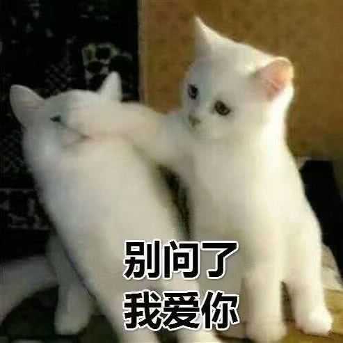 有没有给女朋友发的表情包?