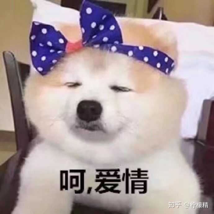 还是不要当舔狗了,我去舔冰淇淋了,再见