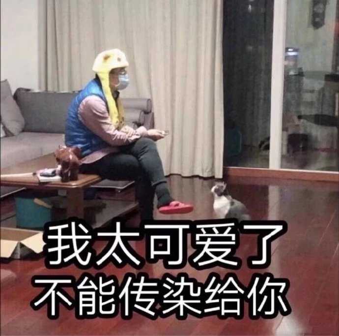 有什么沙雕表情包推荐?