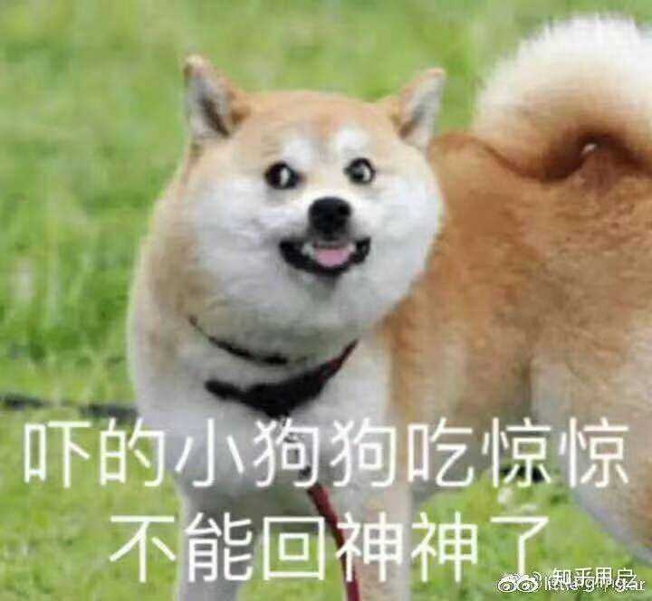 此表情包就是我的震惊