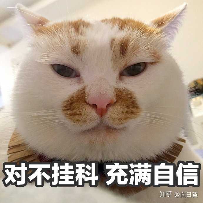 充满自信不挂科
