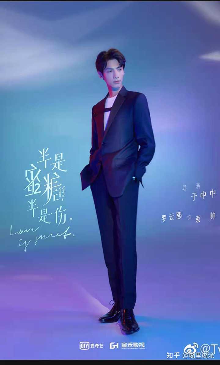 如何看待罗云熙出演《半是蜜糖半是伤》的男主袁帅?