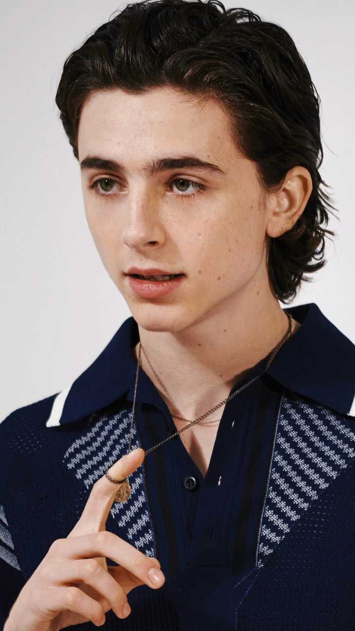 如何评价演员timothée chalamet(甜茶)?