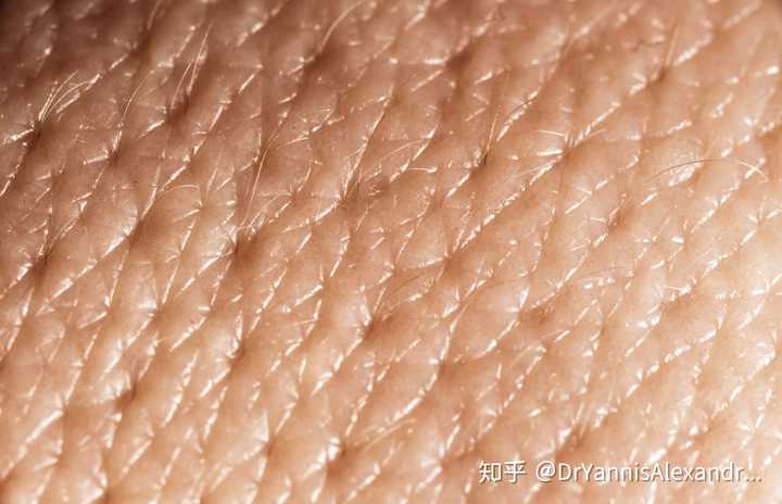 医学美容能解决皮肤毛孔粗大的问题吗对皮肤有没有伤害如果有效能否