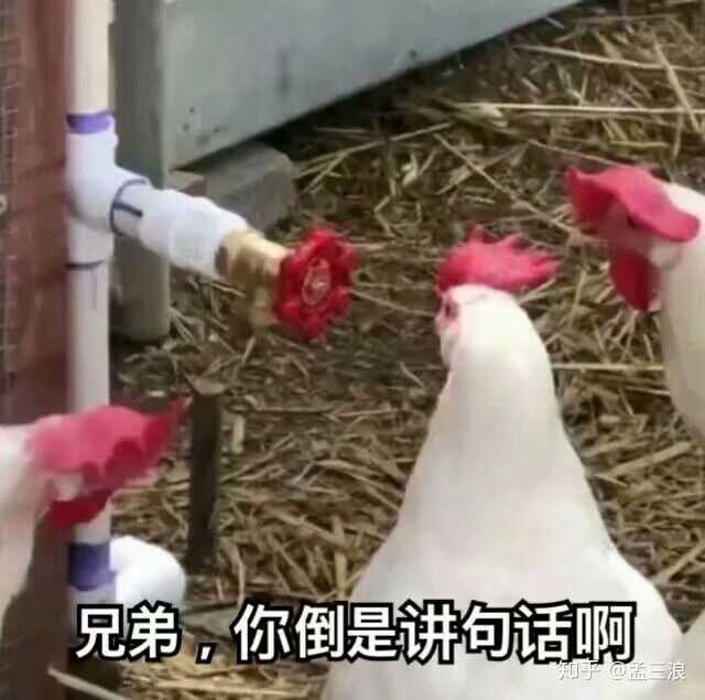 沙雕配图