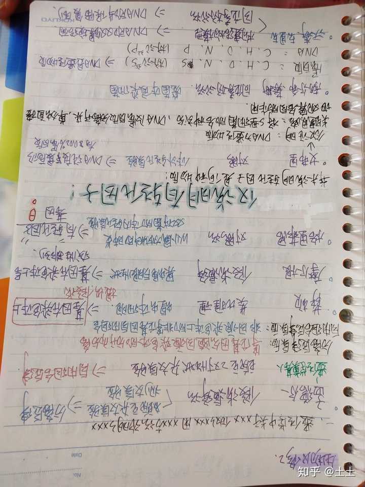手写的笔记能有多好看?