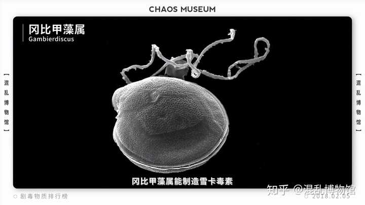 这世界上最毒的物质是什么?