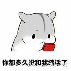 有哪些适合情侣间聊天使用的表情包?