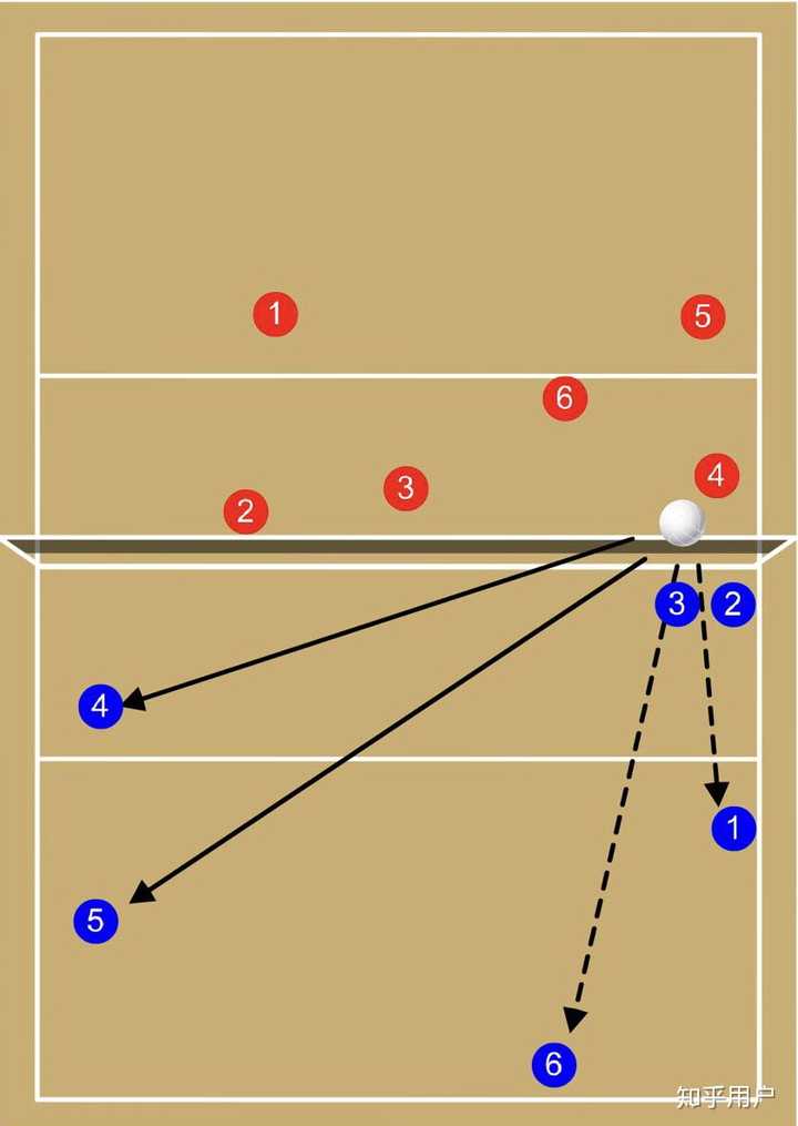 请问大佬,排球对面扣球后排怎么接?
