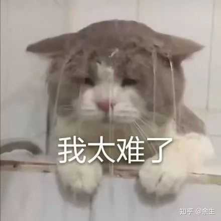 哈哈 我酸了 我没想过我可以跟他在一起  受不了 只不过居然哭不出来