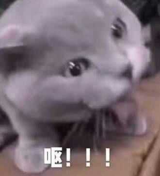 你都存了哪些沙雕表情包?