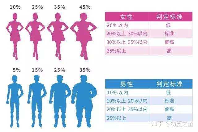女性的「脂20」可以说是非常理想的值,而男性的20%体脂率则是必须要