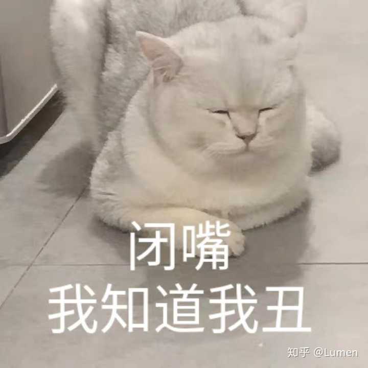 表情包当然我做的啦啦啦哈哈哈
