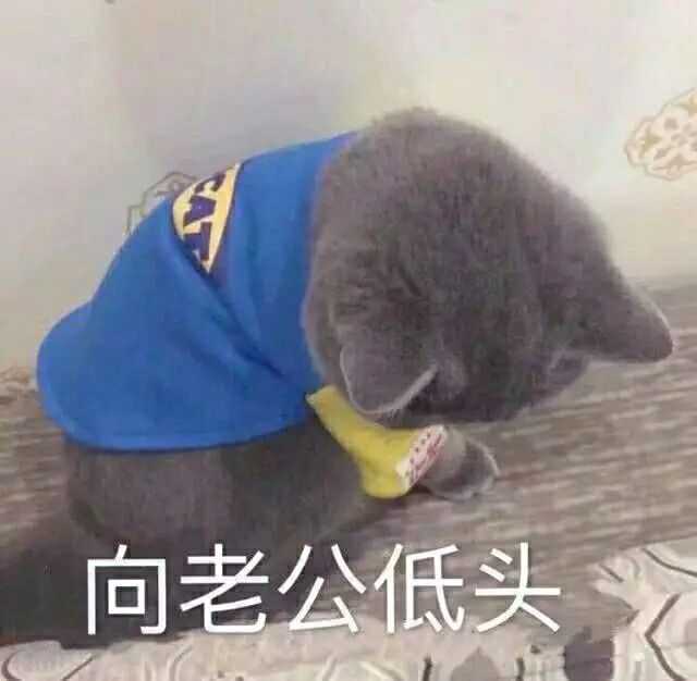 有哪些哄男朋友的可爱表情包?