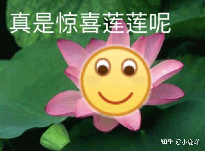 你遇到过最奇葩无语的事件是?