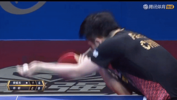 樊振东控制一板后许昕轻挑转成相持,樊振东抓住机会两条线路正手发力