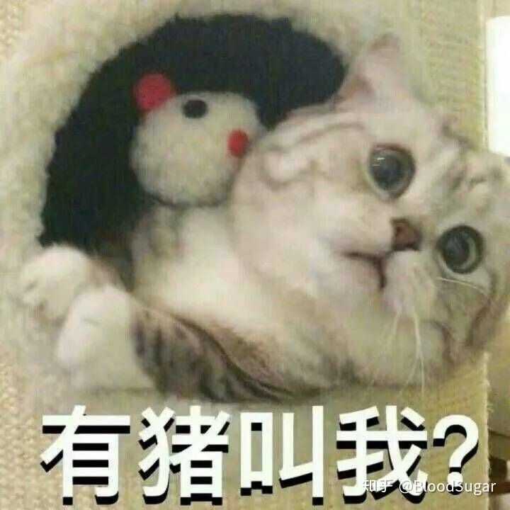 有哪些适合情侣之间的表情包?