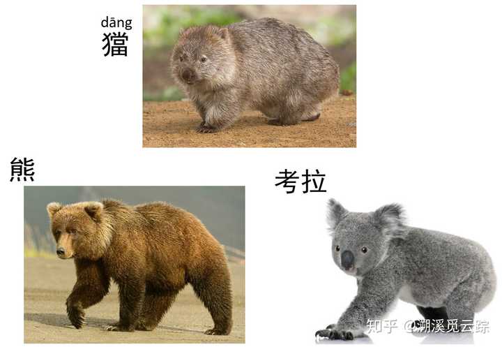 有哪些现实存在的动物名字比较生僻,或者说名字属于生僻字?