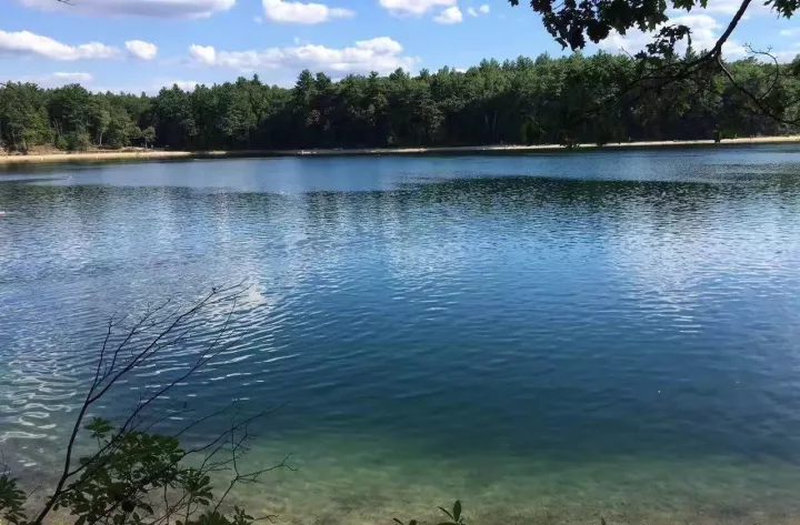 风景优美,湖水清澈的瓦尔登湖