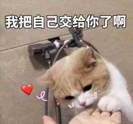 有哪些可以哄男朋友开心的表情包?