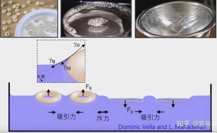 也与浸润在液体中的分子相互吸引,这个现象称为"喜瑞尔效应"